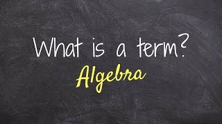 What is a term in Algebra [upl. by Ecirbaf746]