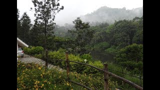 Munnar Kerala RIVULET RESORT IN THE LAP OF NATURE [upl. by Marteena969]