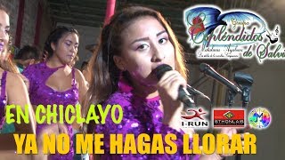 Ya no me hagas llorar ESPLENDIDOS DE SALVIA Exclusivo CONCIERTO OFICIAL Chiclayo [upl. by Tutt100]