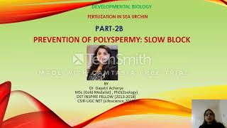 Slow to Polyspermy in Sea Urchin  CSIR UGC NET Dr Gayatri Acharya [upl. by Athalie]