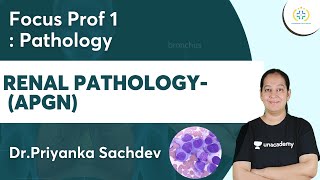 Renal PathologyAPGN  Focus Prof 1 Unacademy Future Doctors  DrPriyanka [upl. by Serilda419]