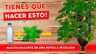 Macetas colgantes con botellas de plastico IDEALES PARA HACER EN CASA [upl. by Aicatsanna]