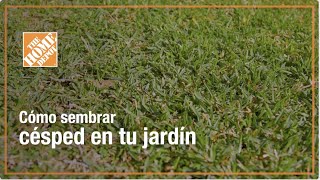 Cómo sembrar césped en tu jardín ¡Guía paso a paso [upl. by Yaned]