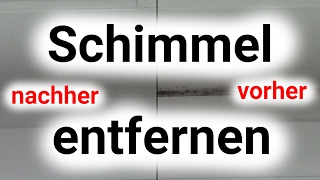 Schimmel entfernen einfach gemacht [upl. by Sandon612]