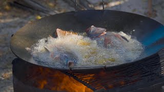 Mojarras Fritas al DISCO  Pesca y Cocina [upl. by Kamat]