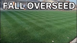 How to Overseed Your Lawn  Step by Step [upl. by Ebsen]