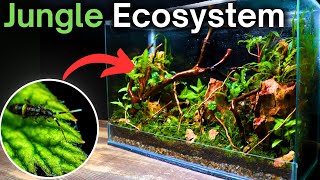 How To Make a Jungle Terrarium  Easy Step by Step Tutorial [upl. by Snehpets925]