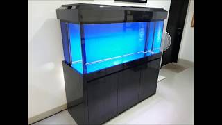 New Tank Jardini Arowana [upl. by Shamma935]