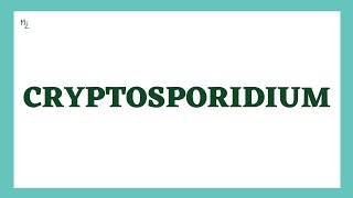 Cryptosporidium  Morphology Life Cycle Cryptosporidiosis lab Diagnosis Treatment  MedZukhruf [upl. by Asher891]