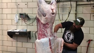 How to Skin a Deer For a better viewing experience watch our other video  link in description [upl. by Nowyt]