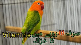 Benefits of Alfalfa لوسن for LoveBirds [upl. by Janifer]