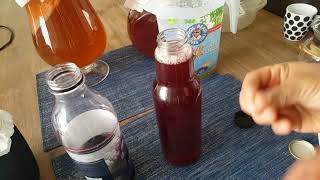 Como fazer o kombucha com varios sabores [upl. by Hairem]