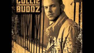 Collie Buddz  Love Deh  2007 Album [upl. by Idnat]