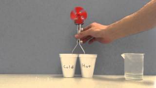 Thermoelectric Effect Demonstration Demonstrator [upl. by Ednalrym]