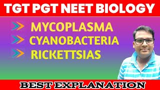 Mycoplasma  Cyanobacteria  Rickettsia  Lower botany one shot [upl. by Niryt806]