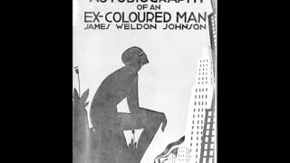 The Autobiography of an ExColored Man FULL Audiobook [upl. by Yrtnej977]