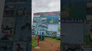 Exploring asia largest lake kolleru near eluru [upl. by Berk]