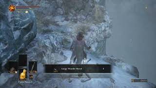 Titanite Chunk x 2 amp Large Titanite Shard x 4 at Snowy Mountain Pass Dark Souls III [upl. by Fendig]