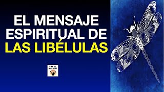 EL MENSAJE ESPIRITUAL De Las LIBÉLULAS Símbolo Del Más Allá ANIMAL De PODER Amuleto Poderoso [upl. by Bull542]