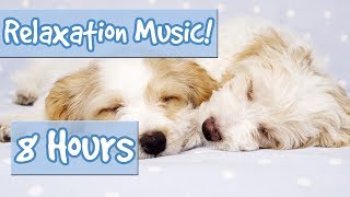 BEST PLAYLIST FOR CALMING PUPPIES Music to Relax My Puppy Special Therapy Music for Dogs 🐶 🎵 💤 [upl. by Kcirdahs]