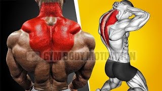 How To Build Bigger Traps Optimal Training Explained [upl. by Eba]