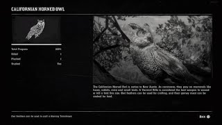 Red Dead Redemption 2 Californian horned owl location [upl. by Okiman]