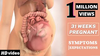 31 Weeks Pregnant Baby Position  Health Care Tips For Pregnant Women [upl. by Olaf]