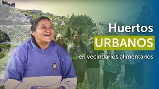 Huertos urbanos en vecindarios alimentarios  Solanda Quito [upl. by Revned]