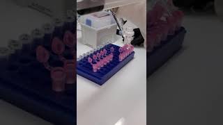 Isolating RNA from primary cells [upl. by Ajam]