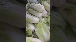 Fresh Chinese cabbage 🥬🥬🥬like comment share [upl. by Hathcock]