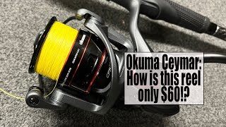 Okuma Ceymar Spinning Reel How is this reel only 60 [upl. by Eelahc48]