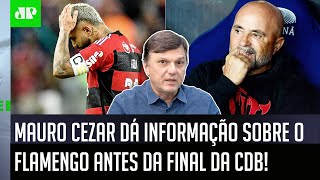 quotPelo que EU APUREI HOJE a TENDÊNCIA é que o Sampaoliquot Mauro Cezar DÁ INFORMAÇÃO sobre Flamengo [upl. by Musihc9]