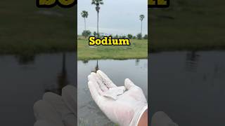 Sodium vs Petrol Vs Water  సోడియం పెట్రోల్లో బ్లాస్ట్ అయింది  shorts [upl. by Endora666]