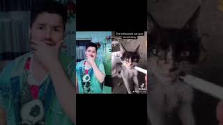 SLANDER  I’m Sorry don’t leave me  New Shorts Video  New TikTok Video  Poor Cat Youtubeshorts [upl. by Caty]