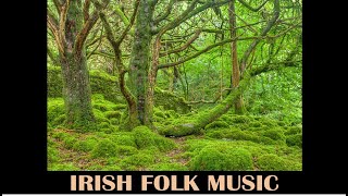 Irish folk music  King of the fairies [upl. by Nohs]