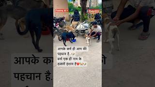 आपके कर्म ही आप की पहचान है…🐶वर्ना एक ही नाम के हज़ारों इंशान है❤️🐕🐶dog feed [upl. by Ettegroeg]