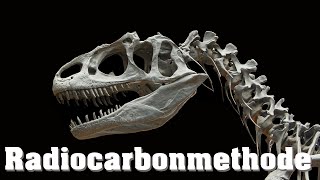 Datierung von Fossilien Radiocarbonmethode [upl. by Ailemaj]