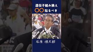 【遺伝子組み換え〇〇貼るべき】 「『TPPの影響』政治 石原慎太郎 都知事 警告 政治家 安全保障 政治 添加物 [upl. by Skippy623]