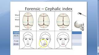 Forensic 040 a Cephalic Index Dolichocephalic MesatiCephalic Indians Brachycephalic [upl. by Vitus]