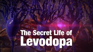 The Secret Life of Levodopa [upl. by Anikram56]