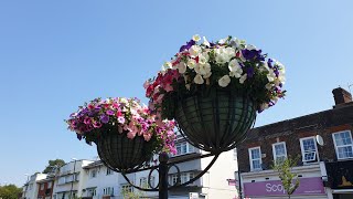 32100 Angus Continues Tour of Haywards Heath Town Centre 34 [upl. by Elyad314]