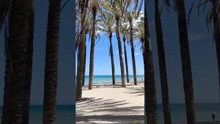 Torremolinos Beach  Last day of April 2024 ☀️🌬️ [upl. by Nitin]