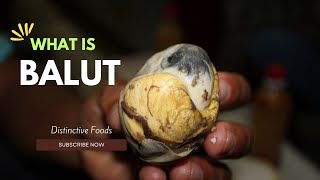 Balut in Philippine [upl. by Wershba487]