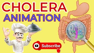 What is cholera  Causes Signs and Symptoms Diagnosis  Treatment  cholera animation  diarrhea [upl. by Eyanaj]