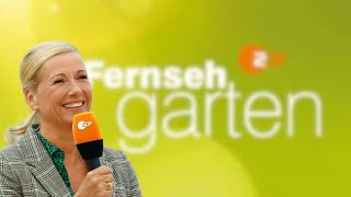 ZDF Fernsehgarten 08092024💯👍 live music party liebe [upl. by Karyn]