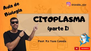 Citoplasma parte I [upl. by Dareg]