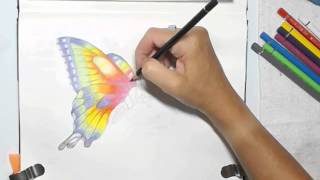 Painting a Watercolor Pencils Butterfly by Dion Dior [upl. by Mathi]