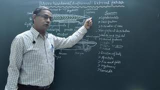 External features of BranchiostomaAmphioxus [upl. by Arjan]