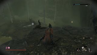 Sekiro Headless ape Fight Shadows Die Twice [upl. by Docilu]