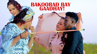 IDIL AYRUUSH VS ABDIWALI HASSAN  DHAANTO CUSUB  DIB U JOOGSO  BEST DAADIS  MUSIC VIDEO 2022 [upl. by Naesar]